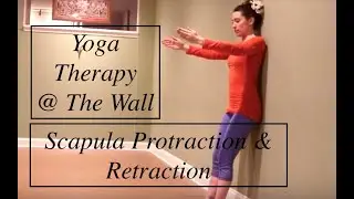 Scapula Protraction & Retraction: 