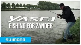 Fishing for Zander with the Yasei AX rods | Shimano Fishing