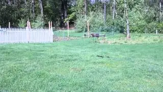Mikrokopter XY8 coaxial quadcopter, first flight