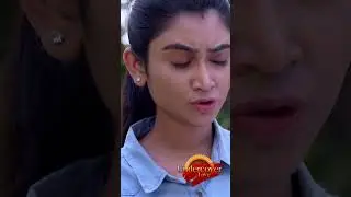 Zee World Shorts: Undercover Love | July | Deepthi Manne, Darsh Chandrappa (Rest of Africa)