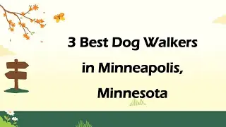 3 Best Dog Walkers in Minneapolis, Minnesota | Dog Walking Services