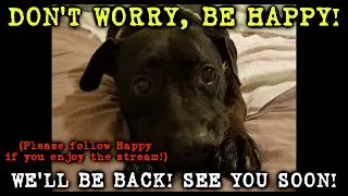 Memories of Happy (November 17, 2010 - October 06, 2025)