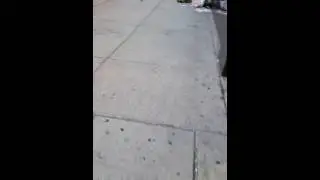 White privilege exposed