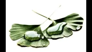 8 Lifestyle Changes That Will Improve Your Emotional and Physical Health with Dr. Susan O'Grady