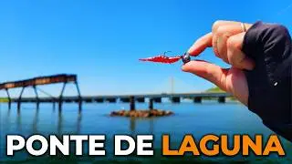 Encostamos nos PILARES e a variedade de peixes foi ABSURDA!