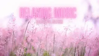 Relaxing Music With Beautiful Nature 🌿 Music For Sleep , Calm Piano Music, Healing Music