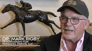 The Making Of A Sire- Flying Cowboy 123- Episode 6