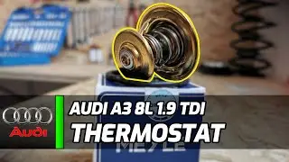 Audi A3 8L 1.9 TDI ASZ | Thermostat defekt? Einfach selbst neu einbauen! #diy #tutorial #cars