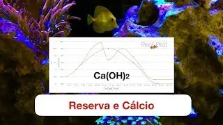 Reserva Alcalina e Cálcio - Hidróxido de Cálcio