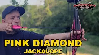 Jackalope Pink Diamond (Bodnik Bows) - Kurzvorstellung und Geschwindigkeitsvergleich mit dem Kiowa
