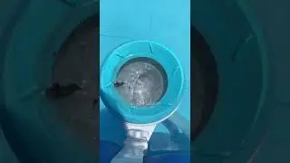Summer waves easy set pool with Intex deluxe skimmer