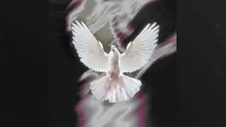 so la lune type beat ~ pigeons