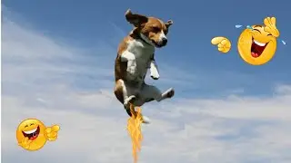 Funny Dog Farts Compilation 2025 🐶💨 | Try Not to Laugh