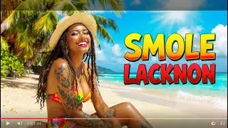 Reggae Sunset Chill Live Stream &ndash; Tropical Beach Music, Island Vibes & Feel Good Rhythms
