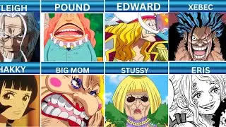 Every Husband and Wife in One Piece 😍| OP DATA COMPARE |