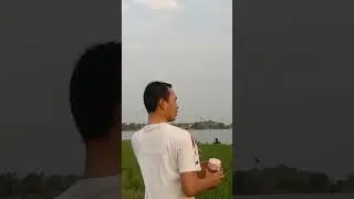 Nyari belut listrik