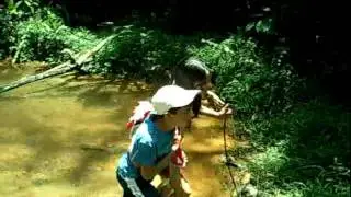 Video 0002