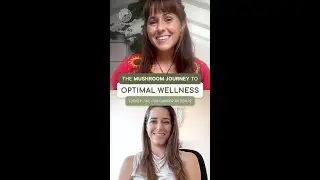 Turkey Tail Mushroom for Cancer: Benefits & FDA Status | The Mushroom Journey to Optimal Wellness