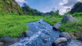 Sleep Soundly with Calming River Sounds & Views of Flowing Water Over Rocks in a Peaceful Forest