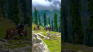 sayya re tu to #trend #shorts #youtubeshorts #youtube #life #sad