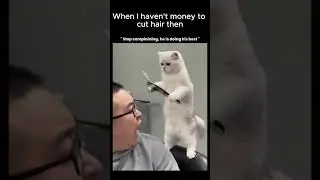 Furry Fails | Funniest Animal Moments Ever!#shorts  #cat #petsrule #cutepets #funny#cuttingskills