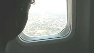 The Flight