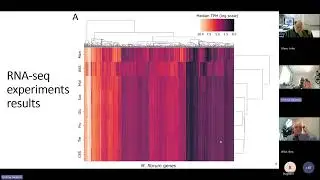 J&eacute;r&eacute;my Gagnon - Defining Minimal Life: Transcriptomic Insights and Synthetic Genome Engineering...
