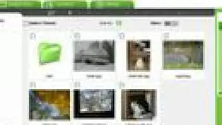 SteekR folder management