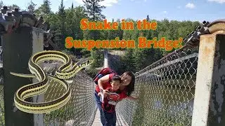 Pinawa Suspension Bridge [ Exploring Manitoba ]