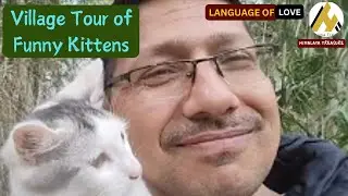3 Scary Encounters | Final Days with Pushi | Funny Cats Angata & Kharayo