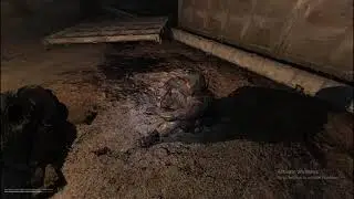 Stalker Anomaly Walk in the rain