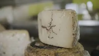 Appetie - Feinkost & Delikatessen Freiburg Werbevideo
