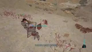 ARK PVP #VALOR