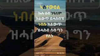 Bealsham #eritreanmusic #eritrea #shorts @EriThree_Tube