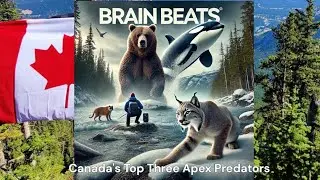 Canada&rsquo;s Top Apex Predators: Masters of the Wild | Brain Beats #canada