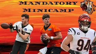 Bengals Mandatory Minicamp