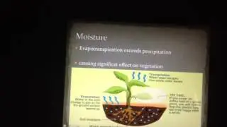 Ecosystem production tropical dry forest