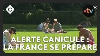 Alerte canicule : du Sud au Nord, la France se pr&eacute;pare - Le 5/5 de Lorrain S&eacute;n&eacute;chal