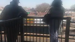 En Queens Johnson Boulevard