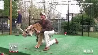 Why Has Tiger King Become a Pop Culture Phenom? | The View