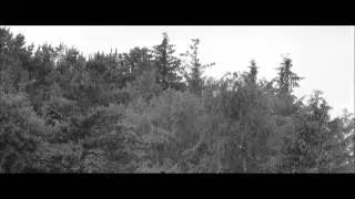 A.D. Cruze ft. Lewis Hensley - Midnight (DJ Tom T & Misha Evanz Remix)