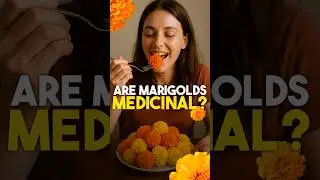 Are Marigolds medicinal? By VMC Medical