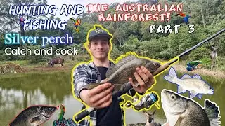 Silver perch catch and cook!! (The Australian rainforest PART 3) 