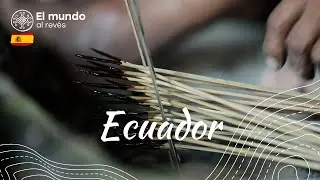 Dmitry Komarov prueba el veneno mortal del curare
