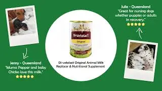 Products for Smaller Animals @budgetpetproducts