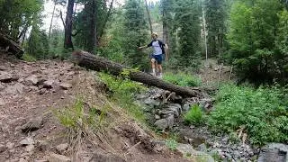 Lincoln National Forest | Move Me Movement