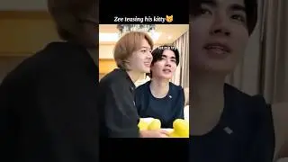 Зи любит дразнить своего котенка😽💘😏#bl #blseries #zeenunew #thenextprince #zonzon #shorts