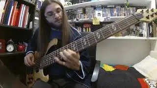 Haken - Cockroach King [bass solo cover]