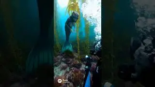 A mermaid or siren encounter caught on camera. #seamonster #fantasy #mythicalcreatures #underwater