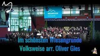 Im schönsten Wiesengrunde ○ JSO Neckarsulm, Beauties and the Beats und Jubiläumschor